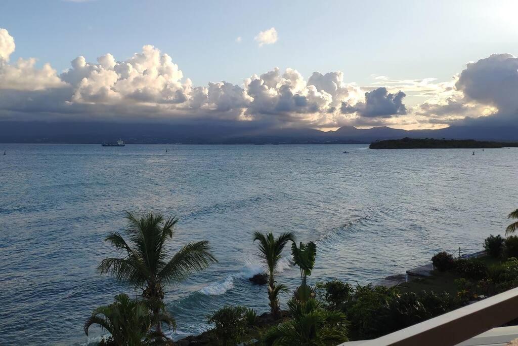 Appart. T2 De Luxe +Jacuzzi, Vue Mer Et Cote Plage ル・ゴジエ エクステリア 写真